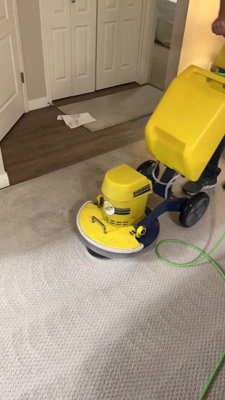 A Magic Wand technician professionally cleaning residential carpet in Calgary.