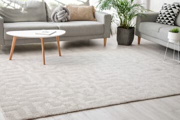 A bright living room with a freshly cleaned light-coloured area rug.