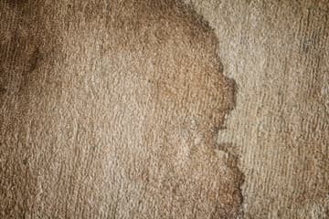 A large damp patch and water mark on beige carpet.