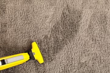A professional carpet-cleaning tool beside a visibly cleaned section of carpet.