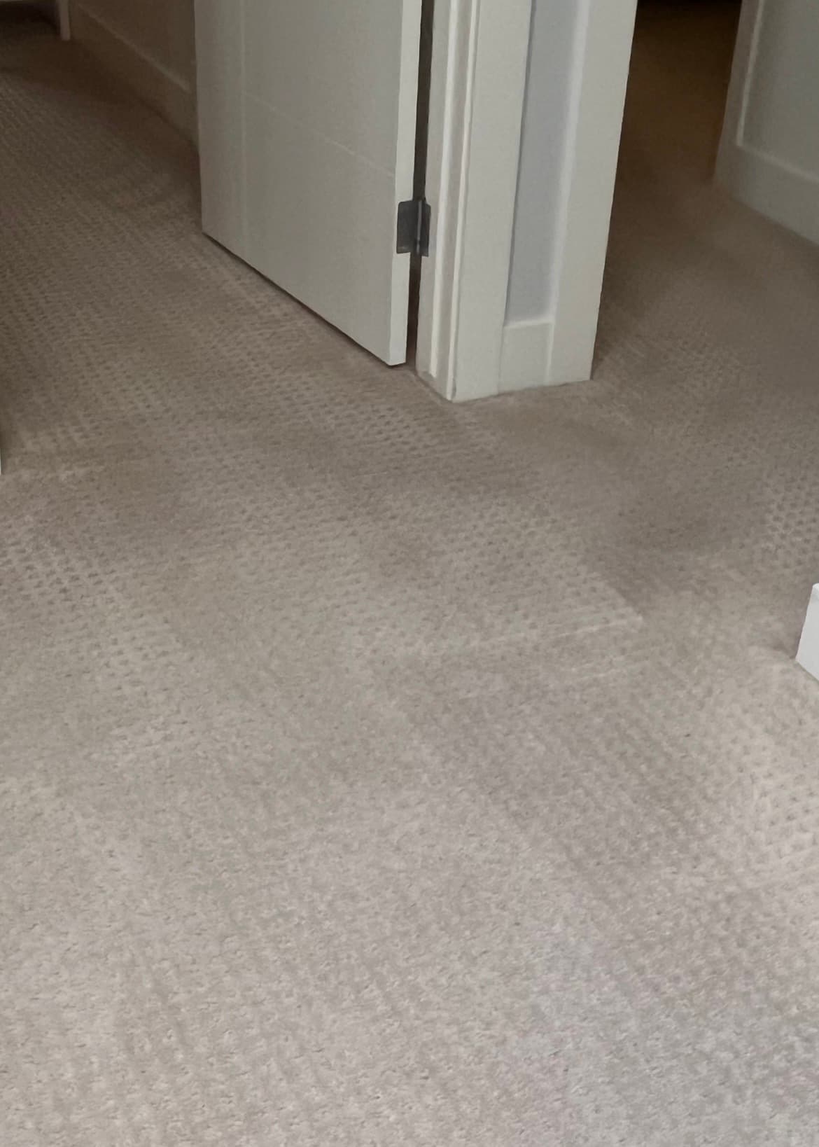 The same light beige carpet after cleaning, with the visible spots removed and fresh cleaning tracks.