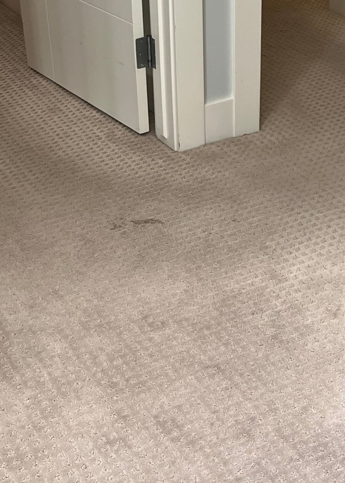 Light beige carpet before cleaning with visible dark spots near a bedroom doorway.
